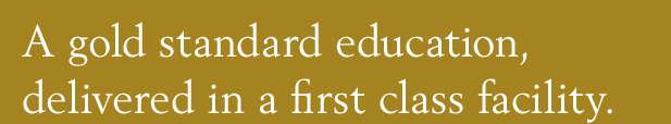 gold_standard_header